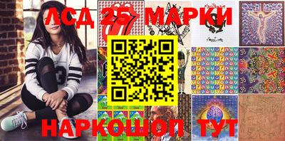 тгк Новодвинск