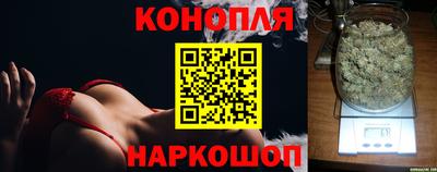 стаф Новокубанск