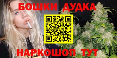 стаф Новокубанск