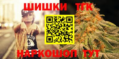 тгк Новодвинск