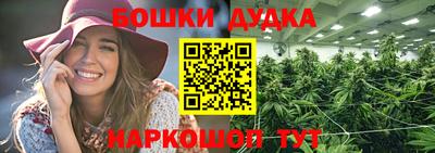 стаф Новокубанск