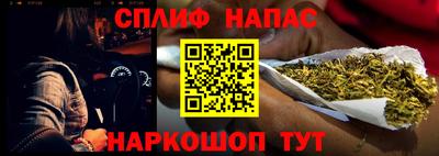стаф Новокубанск