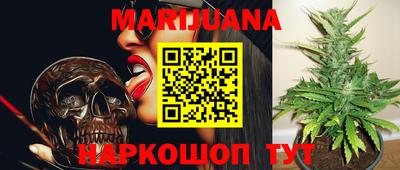 ALPHA-PVP Новозыбков