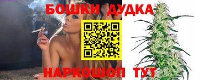 стаф Новокубанск