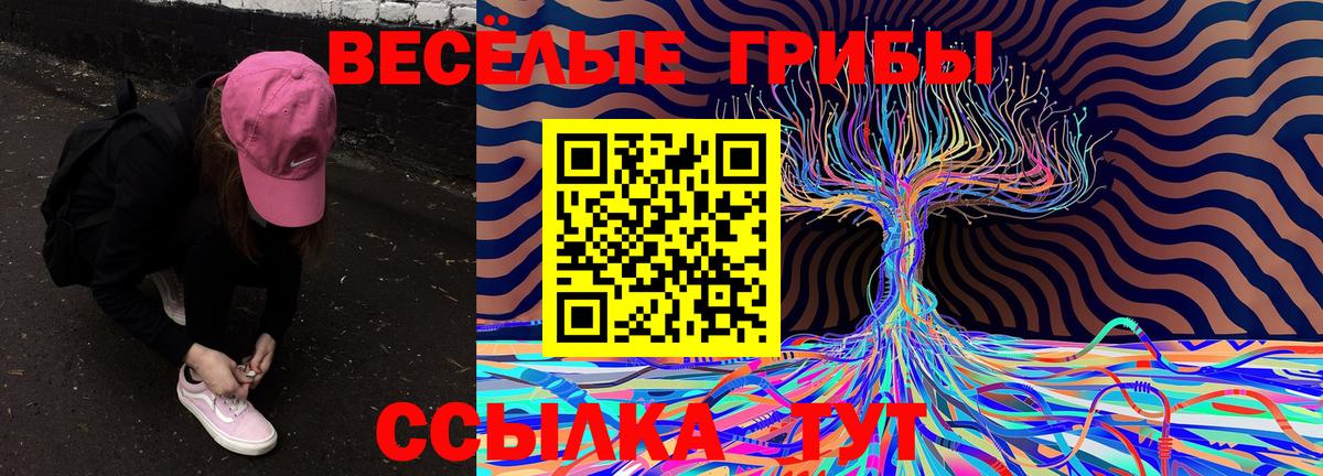 Галлюциногенные грибы Cubensis Рославль
